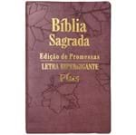 Bíblia Edição de Promessas Letra HiperGigante Plus Uva Folhas