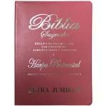 Bíblia Edição de Promessas Letra Jumbo + Rosa Luxo