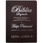 Bíblia Edição de Promessas Letra Jumbo + Vinho Luxo