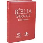 Bíblia Nova Almeida Atualizada Letra Gigante com Índice Pêssego