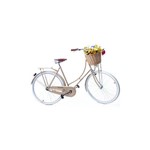 Bicicleta Vintage Retro Feminina Vênus Dourada com Cesta de Palha - Echo Vintage