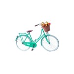 Bicicleta Vintage Retro Feminina Vênus Verde com Cesta de Palha - Echo Vintage