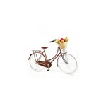 Bicicleta Vintage Retro Ísis Plus Dark Wood Marrom com Marcha Nexus Shimano 3 Vel - Echo Vintage