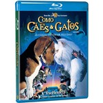Blu-ray Como Cães e Gatos