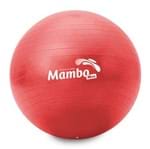 Bola Gym Ball MSD 55cm Vermelha