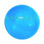 Bola Suica com Ilustracao - 65cm - Azul