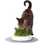 Brinquedo para Gatos Catit Design Senses Food Maze - Hagen