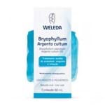 Bryophyllum Argento Cultum - Solução Oral, com 50ml