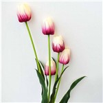 Buque de Flor Tulipa com Folhas - 57447