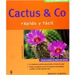 Cactus & Co. Rapido Y Facil