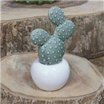 Cactus Prickly Pear em Vaso Decorativo de Cerâmica - 14,5x8,7 Cm - 41183