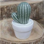 Cactus Pringlei em Vaso Decorativo - Cerâmica - 12x7,2 Cm - Cor Branco - 41180