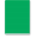 Caderno Brochurao Capa Dura Verde C/margem 96 Folhas
