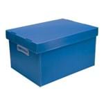 Caixa Organizadoraa The Best Box M Azul Polibras
