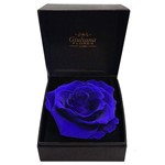 Caixa Premium com Rosa Encantada Azul