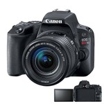 Câmera Canon Sl2 Eos Rebel Tela Giratória e Lente 18-55mm