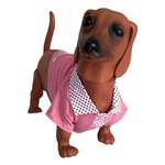 Camiseta Gola Polo para Cachorro Carina