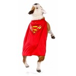 Capa Superdog Sula Pet - Liga da Justiça P