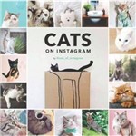 Cats Of Instagram