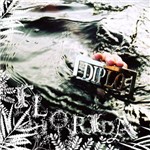 CD Diplo - Florida