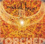CD Michael Hedges - Torched