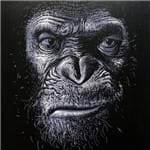 César - o Macaco Revolucionário - 20 X 20 Cm - Papel Fotográfico Fosco