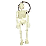 Chaveiro Mini - Esqueleto - Anatomic - Código: Tgd-0185-a