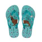 Chinelo Rafitthy Be Forever Dog Fun 32
