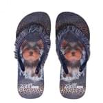 Chinelo Zariff Shoes Estampa Franjas 1100 | Betisa