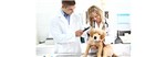 Clínica Médica e Cirúrgica de Pequenos Animais | UNOPAR | PRESENCIAL Inscrição