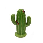 Cofre Cactus Verde Borboletas Ceramica Decoracao