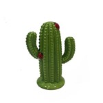 Cofre Cactus Verde Joaninha Ceramica Decoracao
