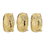 Conjunto 3 Corujas de Cerâmica Sábias Dourado 8650 Mart