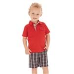 Conjunto Menino Camiseta Polo Vermelha e Bermuda Xadrez Azul Marinho Up Baby 1 Ano