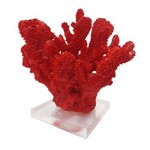 Coral em Poliresina C/base em Acril Vermelho