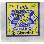 Corda Viola Canario C/ Bolinha Gesvb5 Giannini 5ª