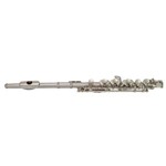 Csr - Flauta Flautim Eastman 6456n
