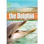 Cupid The Dolphin - With Multi-rom - American English - Level 4 - 1600 B1