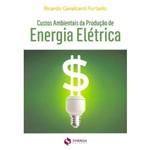 Custos Ambientais da Produção de Energia Elétrica