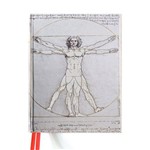 Da Vinci: Vitruvian Man