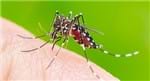 Dengue - Prevenção e Diagnóstico Laboratorial