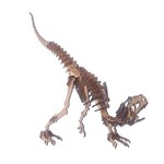 Dinossauro Alossauro Mdf Quebra Cabeça 3d