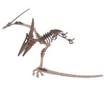 Dinossauro Pterodactilo Mdf Quebra Cabeça 3d