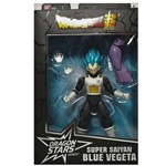 Dragon Star Super Saiyan Blue Vegeta Dragon Ball Super