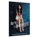 DVD Amy Whinehouse - Back To Black