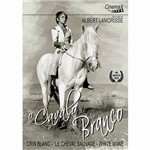 DVD o Cavalo Branco