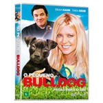 DVD - o Pequeno Bulldog