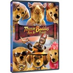 DVD Treasure Buddies - Caça ao Tesouro
