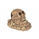 Enfeite Caveira Cranio Ceramica Envelhecida