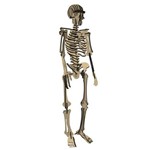 Esqueleto Humano | Quebra Cabeça 3d | 115 Peças - Cru